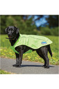 WeatherBeeta Reflective Exercise Dog Coat Yellow