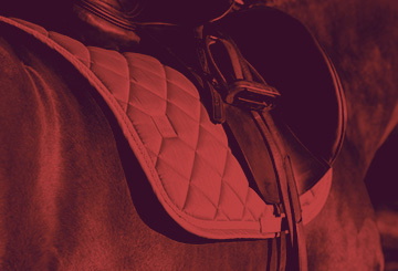 Saddle Pads Sale
