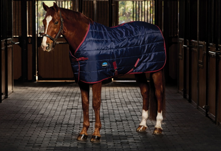 Horse Rugs